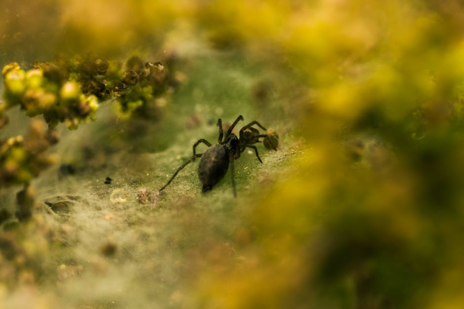 12 Hidden Details in Famous Movies