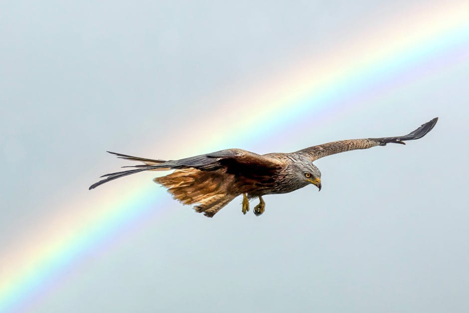 Did You Know? 12 Rare Weather Events