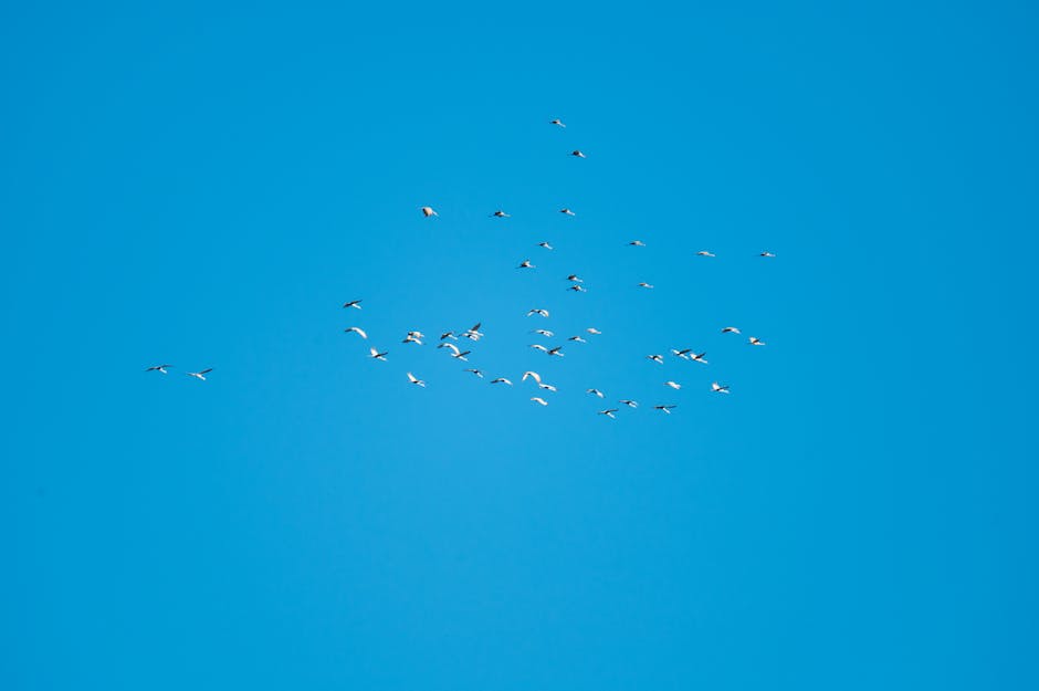 Did You Know? 10 Animals That Change Color