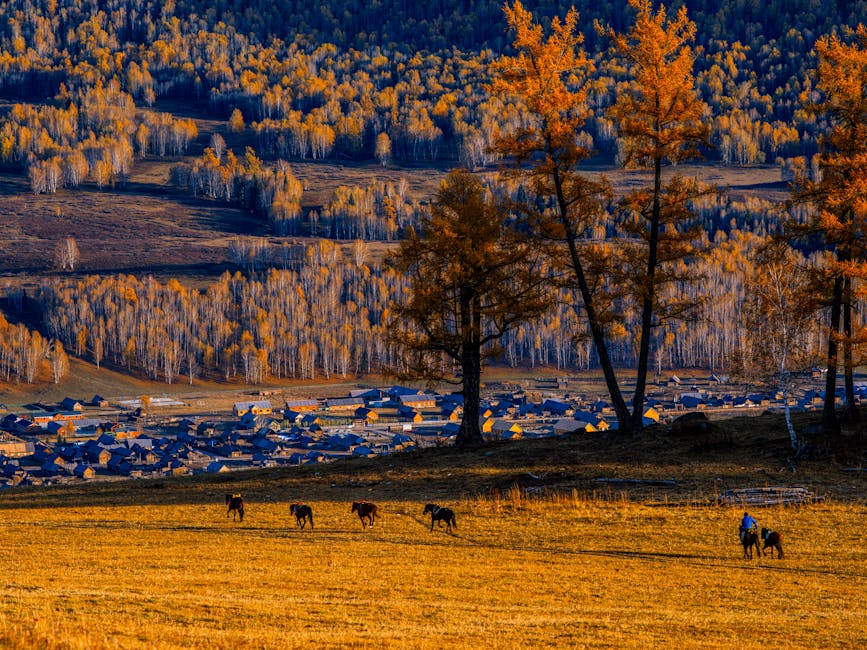 Did You Know? 12 Facts About Climate Change You Didn’t Know