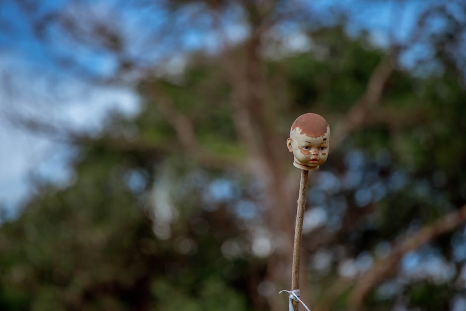 Top 10 Strange Facts About Weather