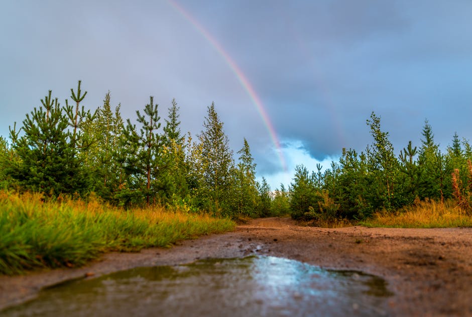 Did You Know? 10 Fun Facts About Rainbows