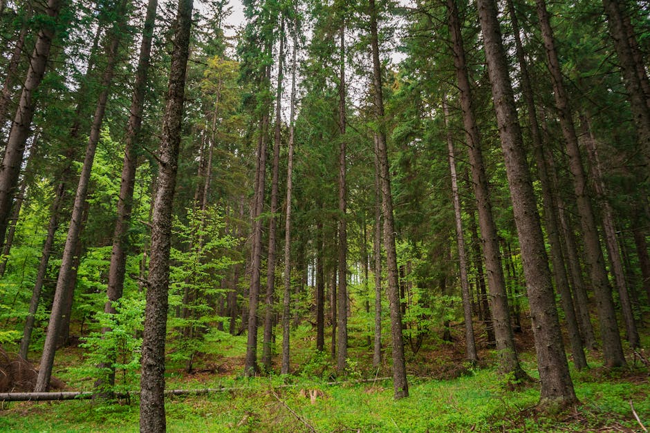 Top 10 Facts About the Deep Sea