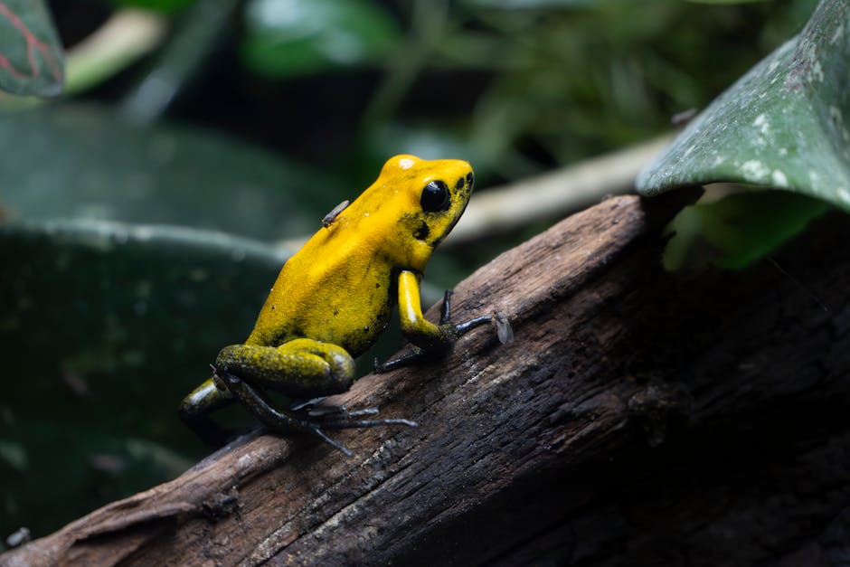 Top 10 Most Poisonous Plants and Animals