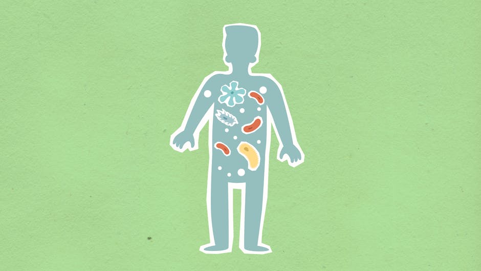 Did You Know? 10 Amazing Facts About the Human Microbiome