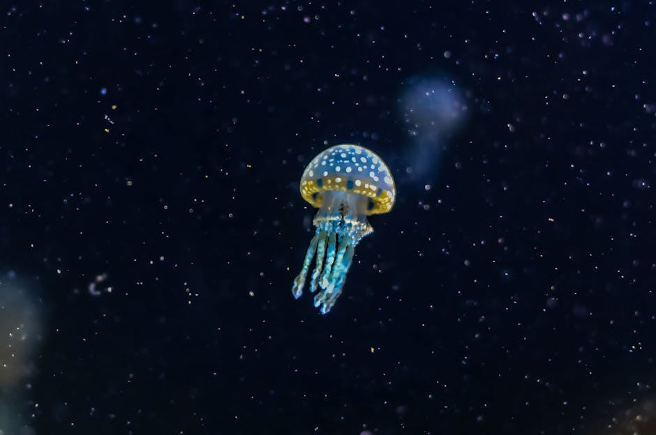 Did You Know? 10 Animals That Glow in the Dark