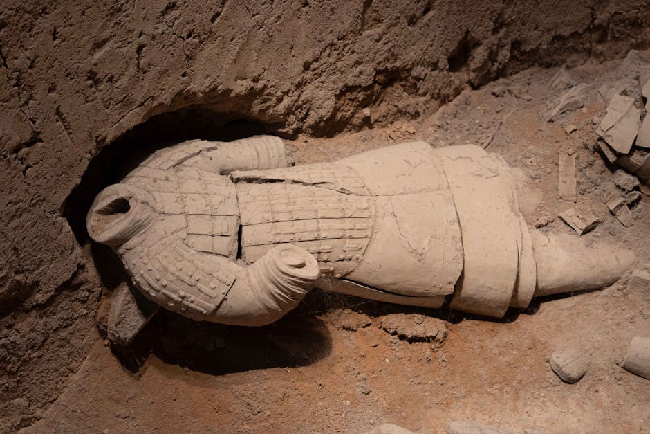 Did You Know? 10 Forgotten Female Warriors in History
