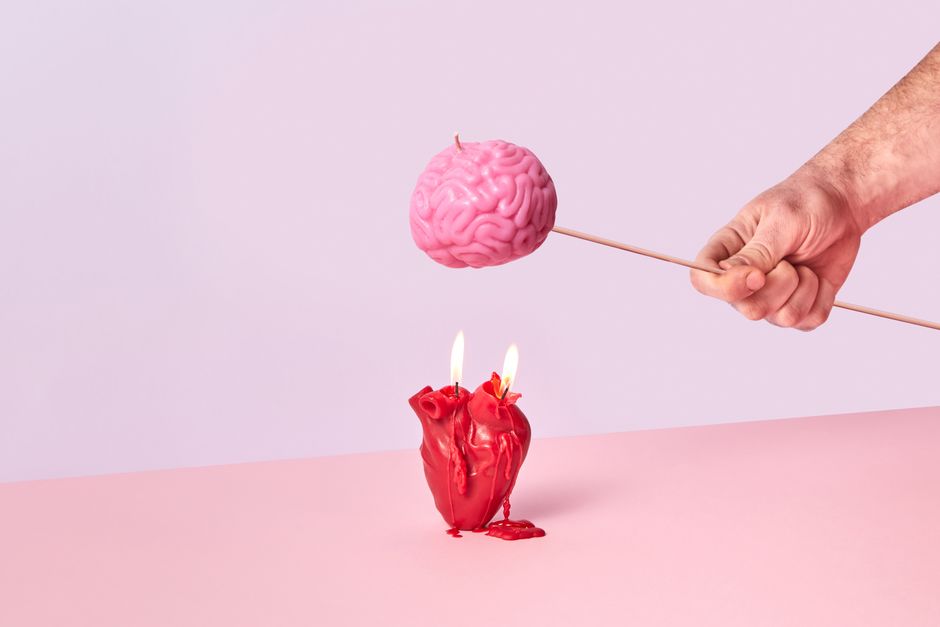 Top 10 Fun Facts About Emotions and the Brain